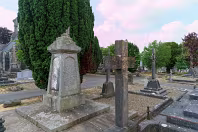 MOUNT ST LAWRENCE CEMETERY IN LIMERICK [2016 LEGACY PHOTO COLLECTION]-244549-1