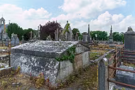 MOUNT ST LAWRENCE CEMETERY IN LIMERICK [2016 LEGACY PHOTO COLLECTION]-244555-1