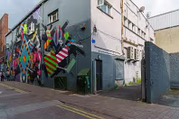 MURAL ON LITTLE WILLIAM STREET OR BROWN THOMAS LANE [BY ASKEW ONE AND MASER]-244559-1