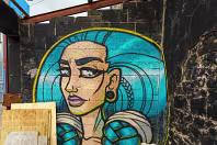 STREET ART INCLUDING THE SLEEPING PATTERNS MURALS [THE CAHILL MAY ROBERTS SITE JUNE 2016]-244474-1