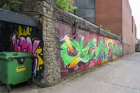 STREET ART INCLUDING THE SLEEPING PATTERNS MURALS [THE CAHILL MAY ROBERTS SITE JUNE 2016]-244475-1
