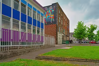 STREET ART INCLUDING THE SLEEPING PATTERNS MURALS [THE CAHILL MAY ROBERTS SITE JUNE 2016]-244476-1
