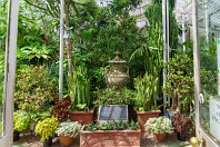 THE MAIN GLASSHOUSE AT BELFAST BOTANIC GARDENS [PHOTOGRAPHED MAY 2017]-235411-1 THE MAIN GLASSHOUSE