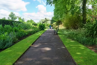 THE BELFAST BOTANIC GARDENS [PHOTOGRAPHED MAY 2017]-235431-1