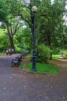 THE BELFAST BOTANIC GARDENS [PHOTOGRAPHED MAY 2017]-235438-1