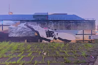 DERELICT SITE NEAR THE RAMADA ENCORE HOTEL [GREAT PATRICK STREET AREA MAY 2017]-235560-1 DERELICT SITE