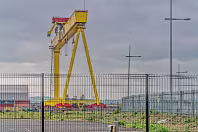 THE DOMINATING CRANES OF BELFAST [SAMSON AND GOLIATH]-235502-1