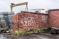 THE DOMINATING CRANES OF BELFAST [SAMSON AND GOLIATH]-235508-1