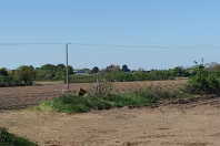 EXPLORING DUBBER CROSS AREA AND NEARBY [THE DAY THAT I GOT LOST]-244218-1