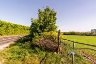 EXPLORING DUBBER CROSS AREA AND NEARBY [THE DAY THAT I GOT LOST]-244219-1