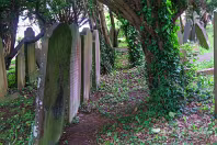 MY FIRST VISIT TO GOLDENBRIDGE CEMETERY [MAY 2017]-237475-1