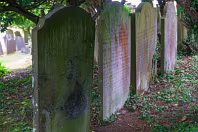 MY FIRST VISIT TO GOLDENBRIDGE CEMETERY [MAY 2017]-237476-1