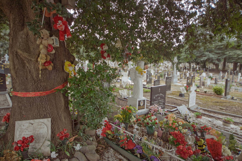 The Angels Plot In Glasnevin As It Was In 2009
