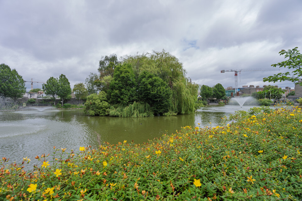 Blessington Street Basin Public Park