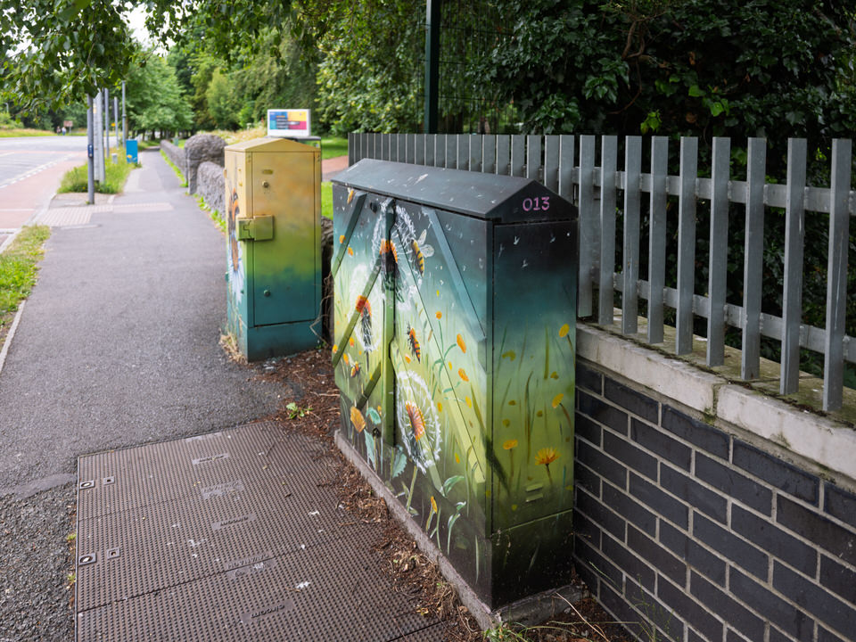 Examples Of Paint A Box Street Art In Maynooth