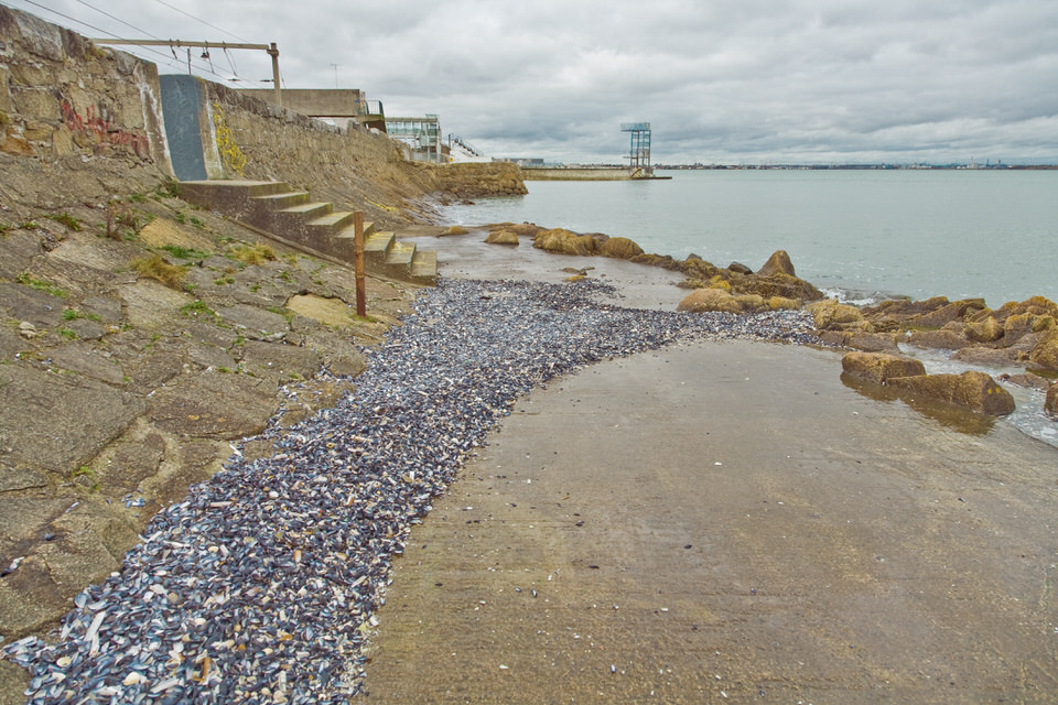 Blackrock Baths Photographed In 2008 Using A Canon Classic 5D