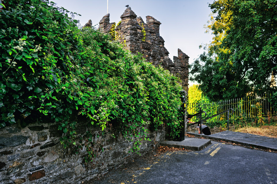 Exploring Thomas Hill And Carrigeen Park
