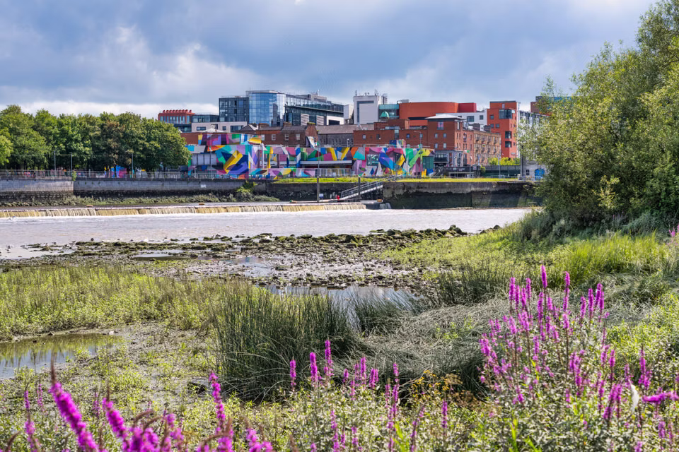The Really Large Mural On Honan's Quay In Context