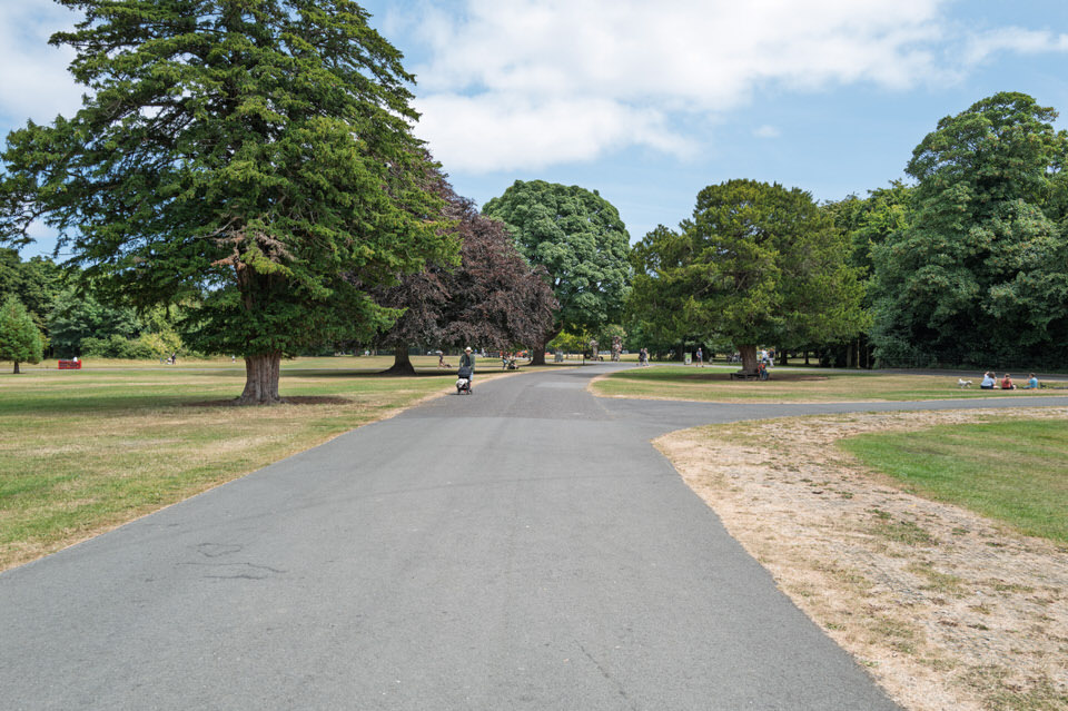 Random Photographs Of St Anne's Park In July 2026