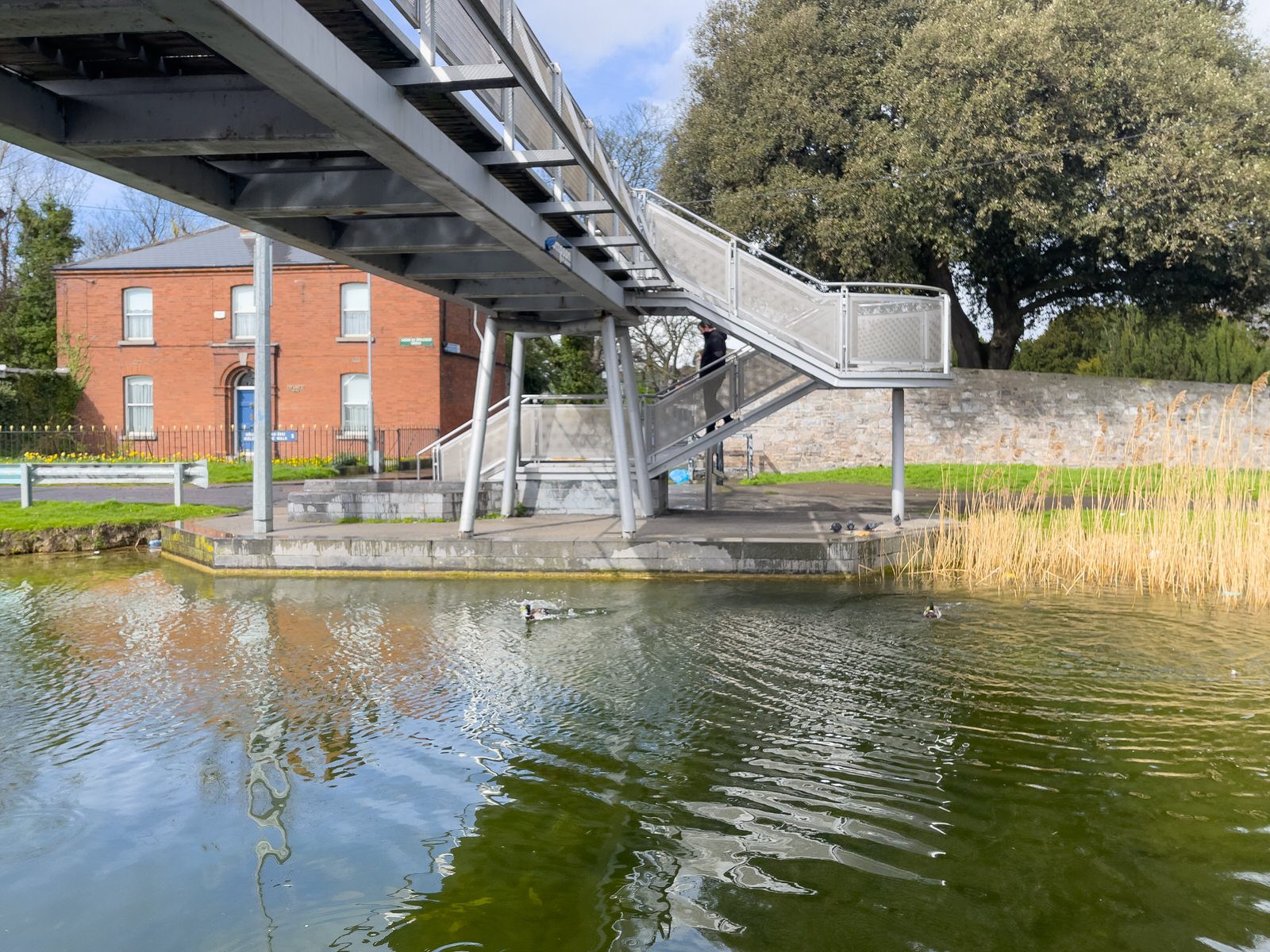 PEDESTRIAN BRIDGE ACROSS THE GRAND CANAL 004