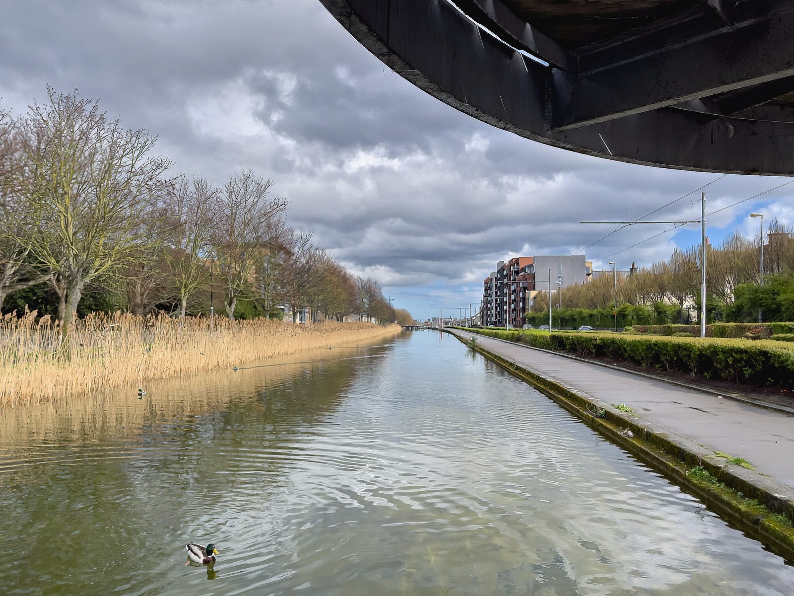 PEDESTRIAN BRIDGE ACROSS THE GRAND CANAL 002