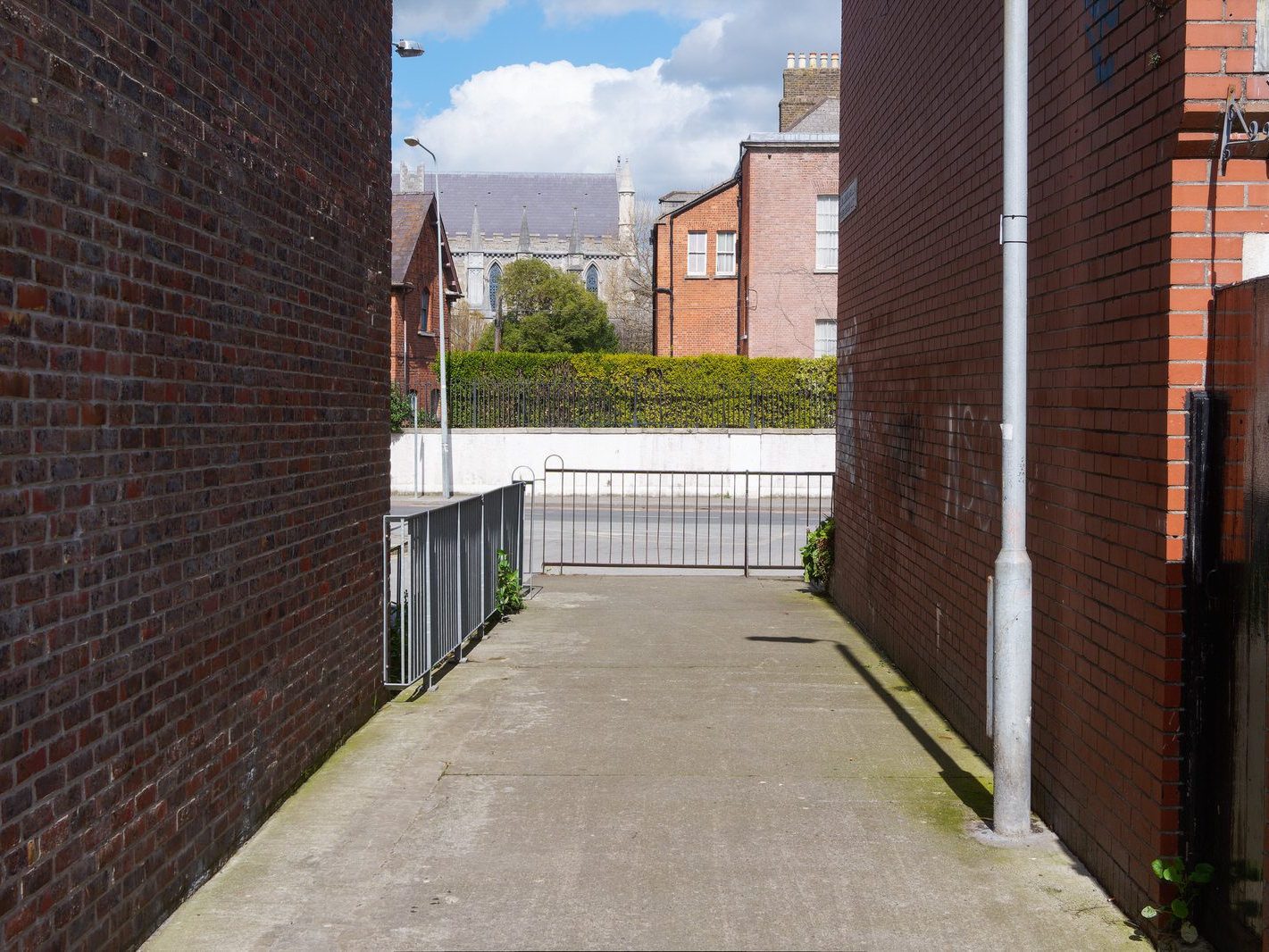 THE CABBAGE PATCH [NEW STREET GARDENS AND CATHEDRAL LANE] 002