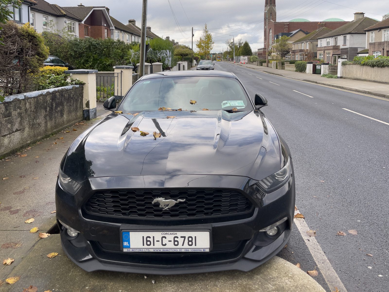 IS THIS AS MUSTANG THAT I SEE BEFORE ME [BIRD AVENUE NOVEMBER 2023]--225006-1