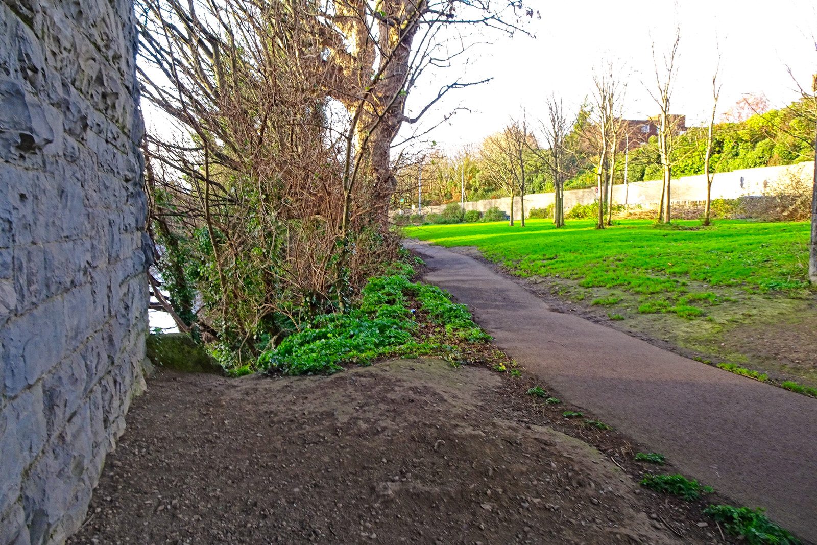 THE MILLTOWN LUAS TRAM STOP A FEW DAYS BEFORE CHRISTMAS DAY [AND NEARBY]-226244-1