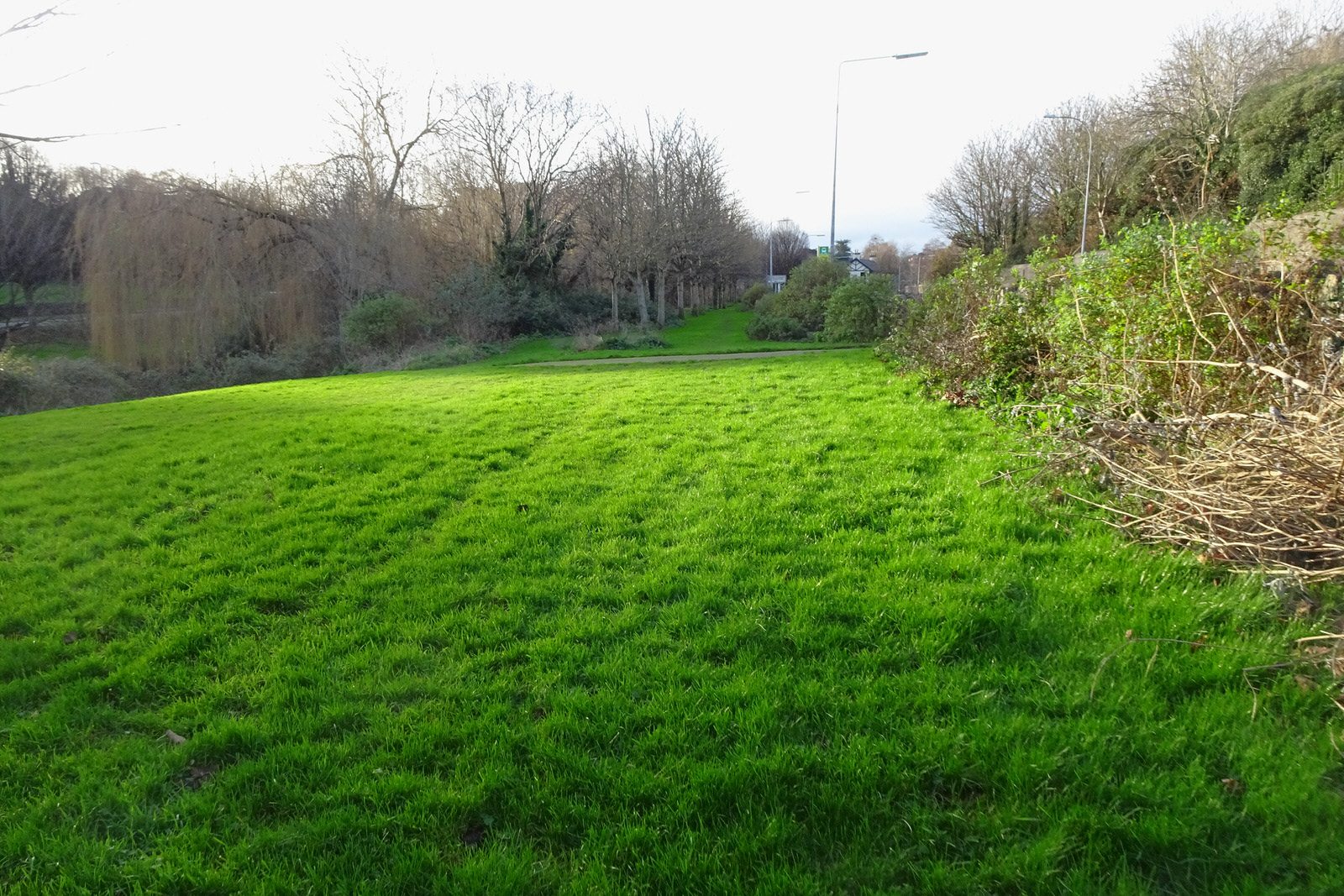 THE MILLTOWN LUAS TRAM STOP A FEW DAYS BEFORE CHRISTMAS DAY [AND NEARBY]-226251-1