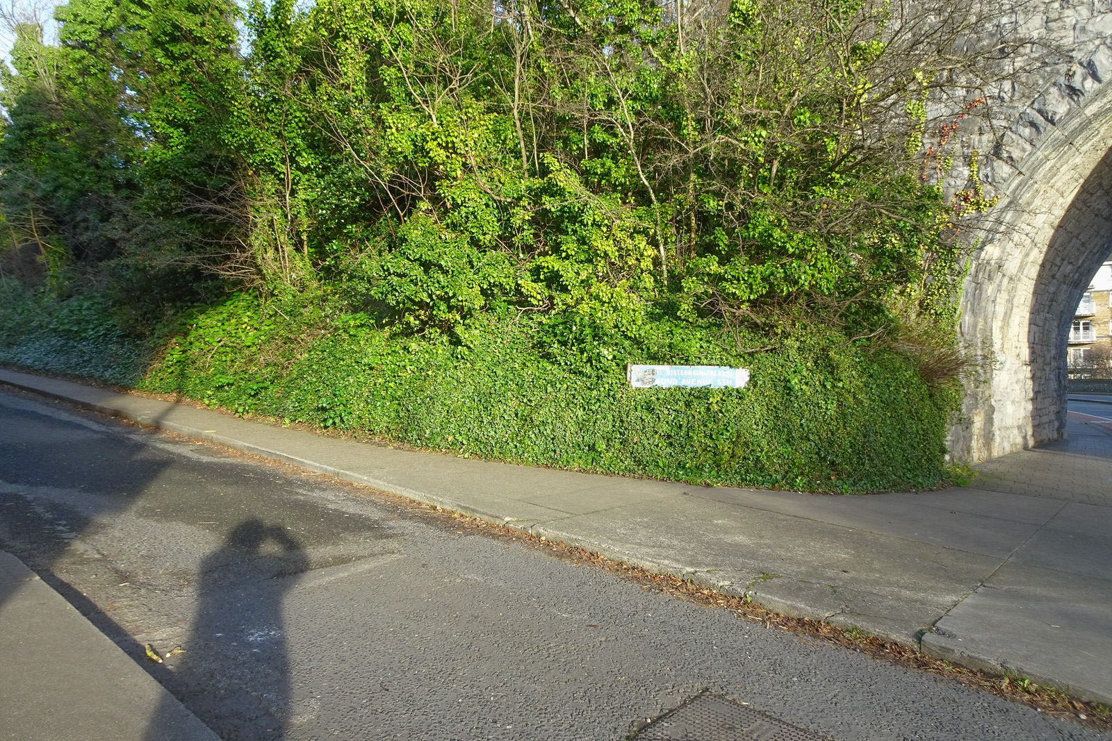 THE MILLTOWN LUAS TRAM STOP A FEW DAYS BEFORE CHRISTMAS DAY [AND NEARBY]-226254-1
