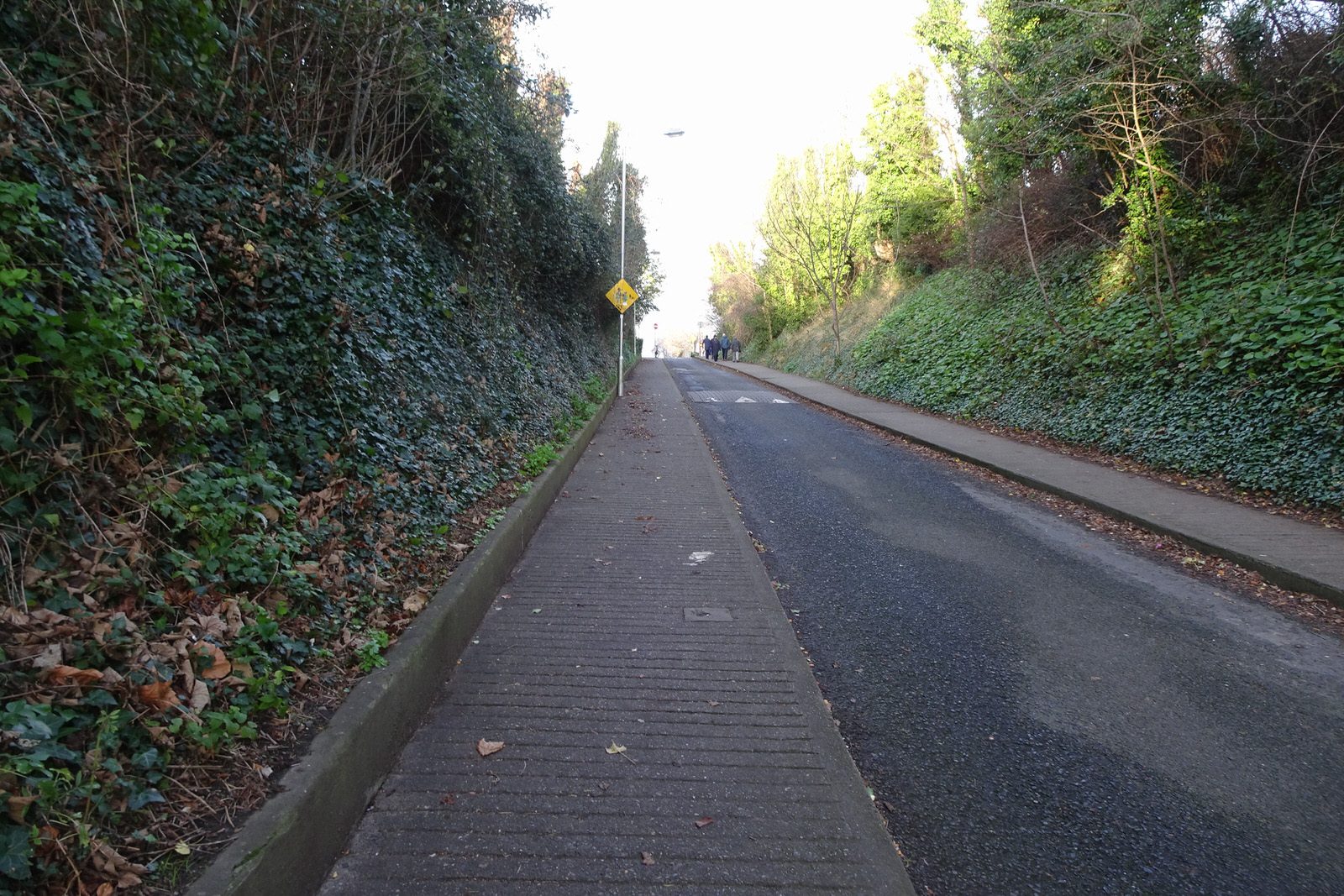THE MILLTOWN LUAS TRAM STOP A FEW DAYS BEFORE CHRISTMAS DAY [AND NEARBY]-226255-1
