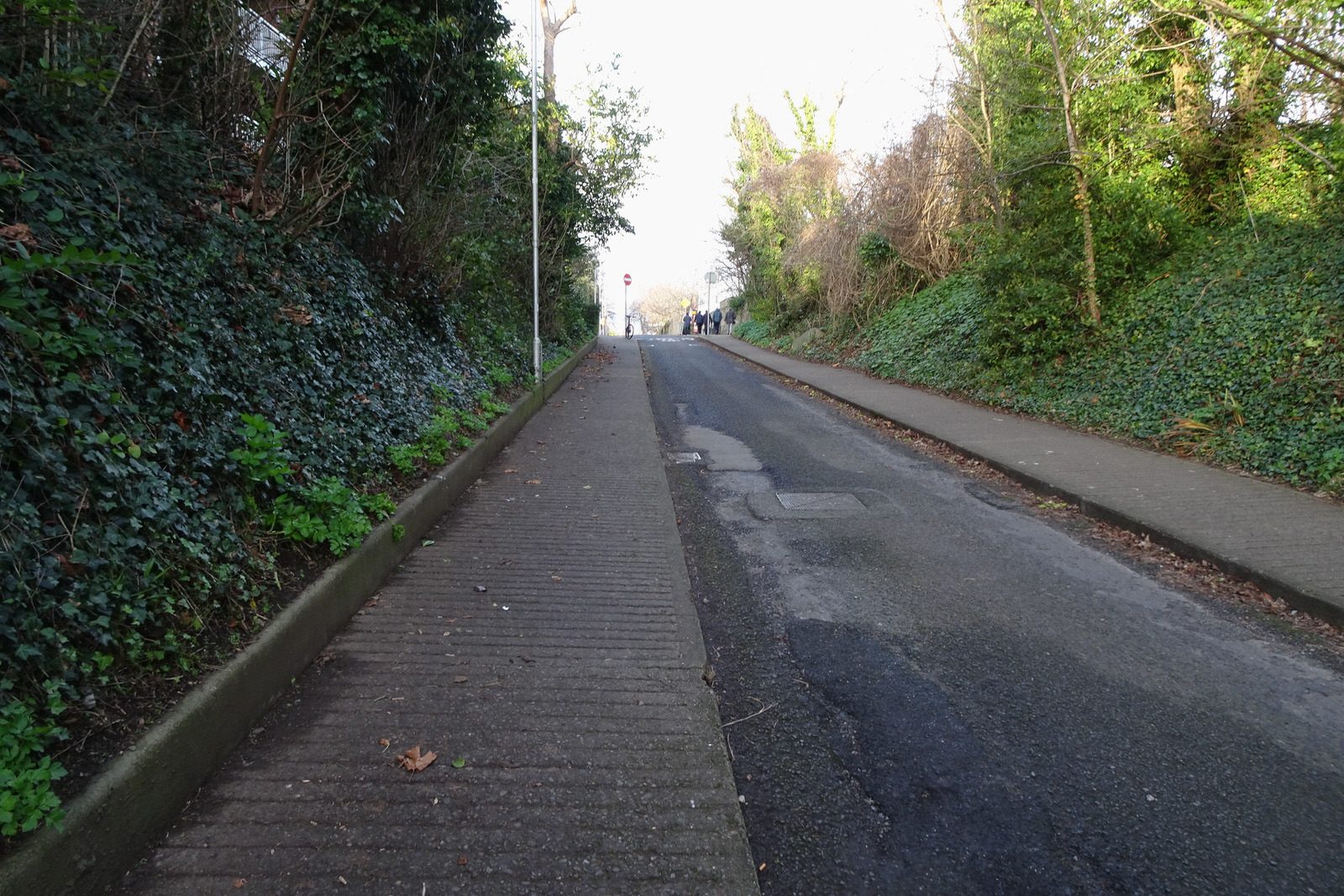 THE MILLTOWN LUAS TRAM STOP A FEW DAYS BEFORE CHRISTMAS DAY [AND NEARBY]-226256-1