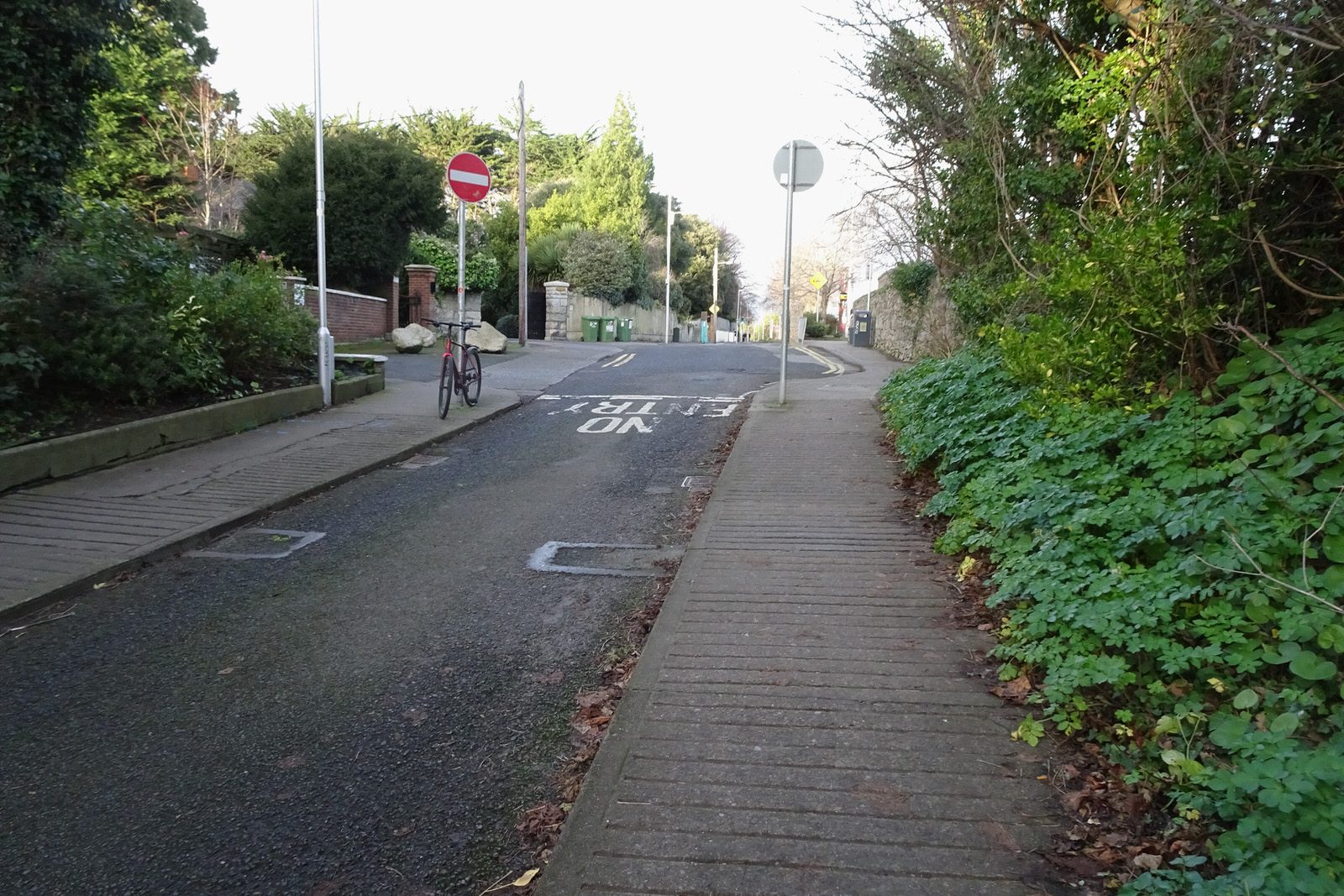 THE MILLTOWN LUAS TRAM STOP A FEW DAYS BEFORE CHRISTMAS DAY [AND NEARBY]-226257-1