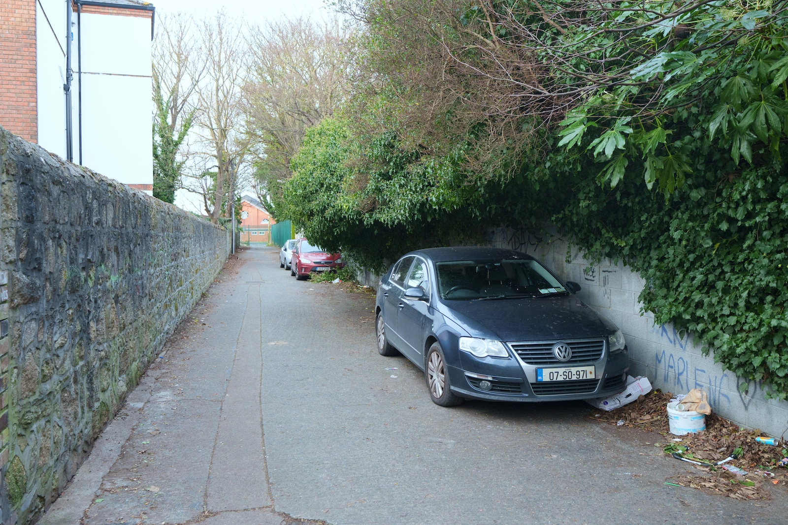 THIS ONCE WAS HEN AND CHICKEN LANE [MOUNT DRUMMOND AVENUE]-227274-014