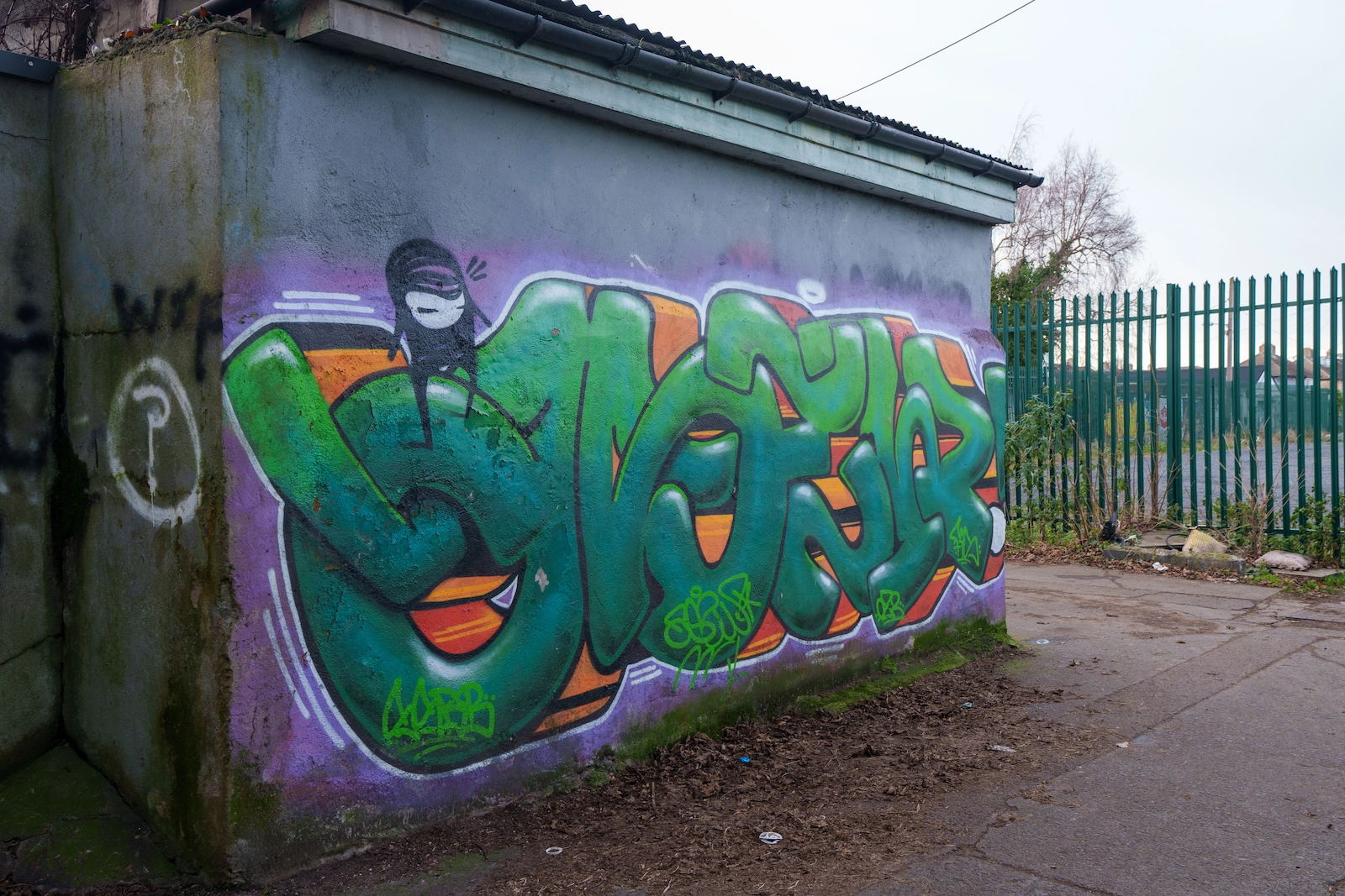 THIS ONCE WAS HEN AND CHICKEN LANE [MOUNT DRUMMOND AVENUE]-227278-009