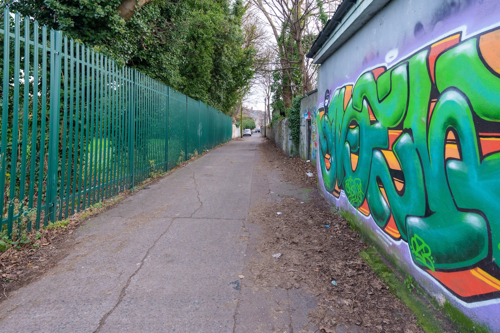 THIS ONCE WAS HEN AND CHICKEN LANE [MOUNT DRUMMOND AVENUE]-227284-003