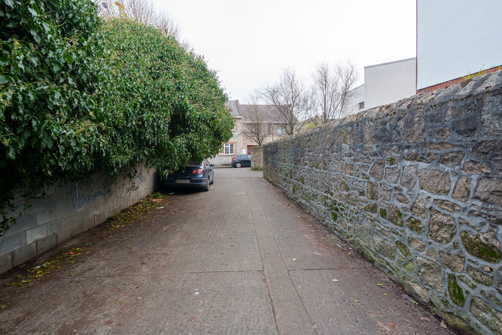 THIS ONCE WAS HEN AND CHICKEN LANE [MOUNT DRUMMOND AVENUE]-227286-000